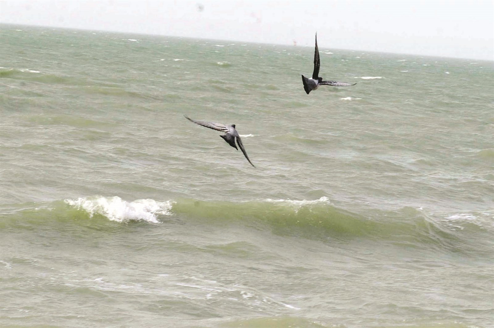 الأمواج ... اضطربت أمس