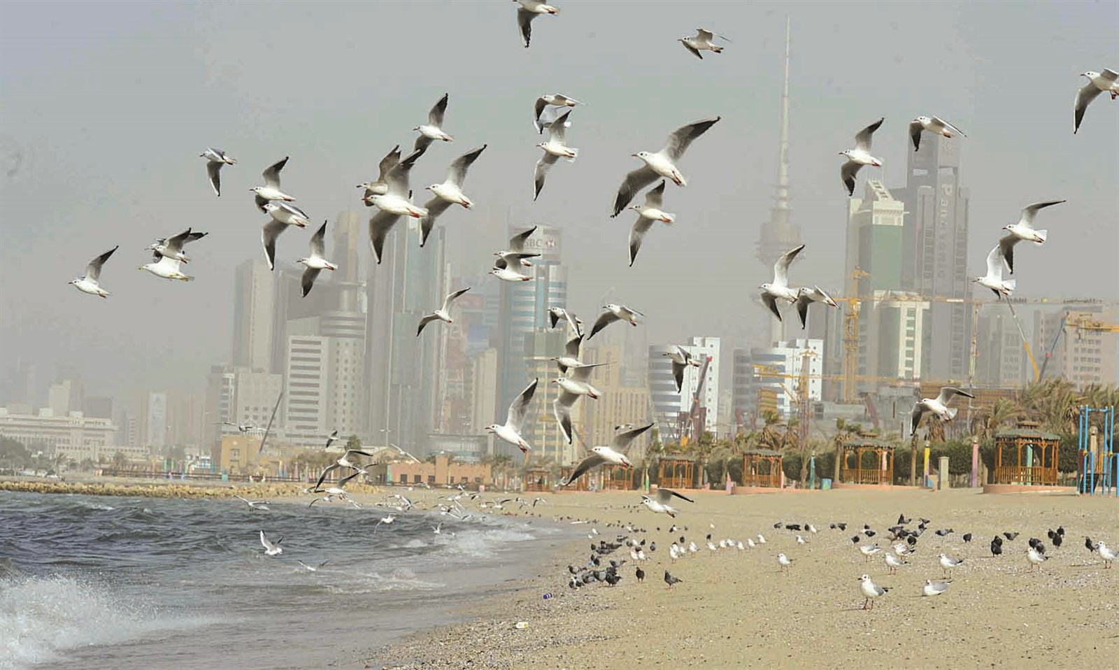 u0623u062cu0648u0627u0621 u0634u0627u0637u0626 u0627u0644u062eu0644u064au062c u0643u0645u0627 u0628u062fu062a u0623u0645u0633 ... u063au0628u0627u0631 u0648u0637u064au0648u0631 u062au062du0644u0651u0642 u0641u0648u0642 u0627u0644u0623u0645u0648u0627u062c u0628u062du0630u0631 (u062au0635u0648u064au0631 u0645u0648u0633u0649 u0639u064au0627u0634)