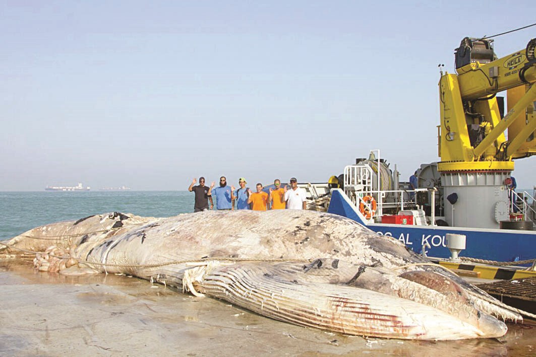 ... وبعد انتشاله بنجاح