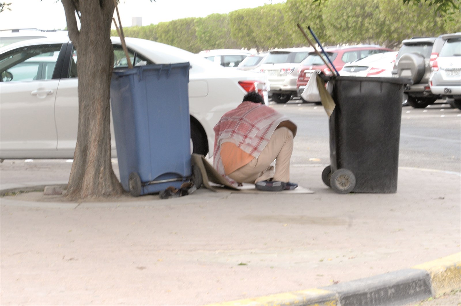 ... واحتماء من المطر تحت شجرة