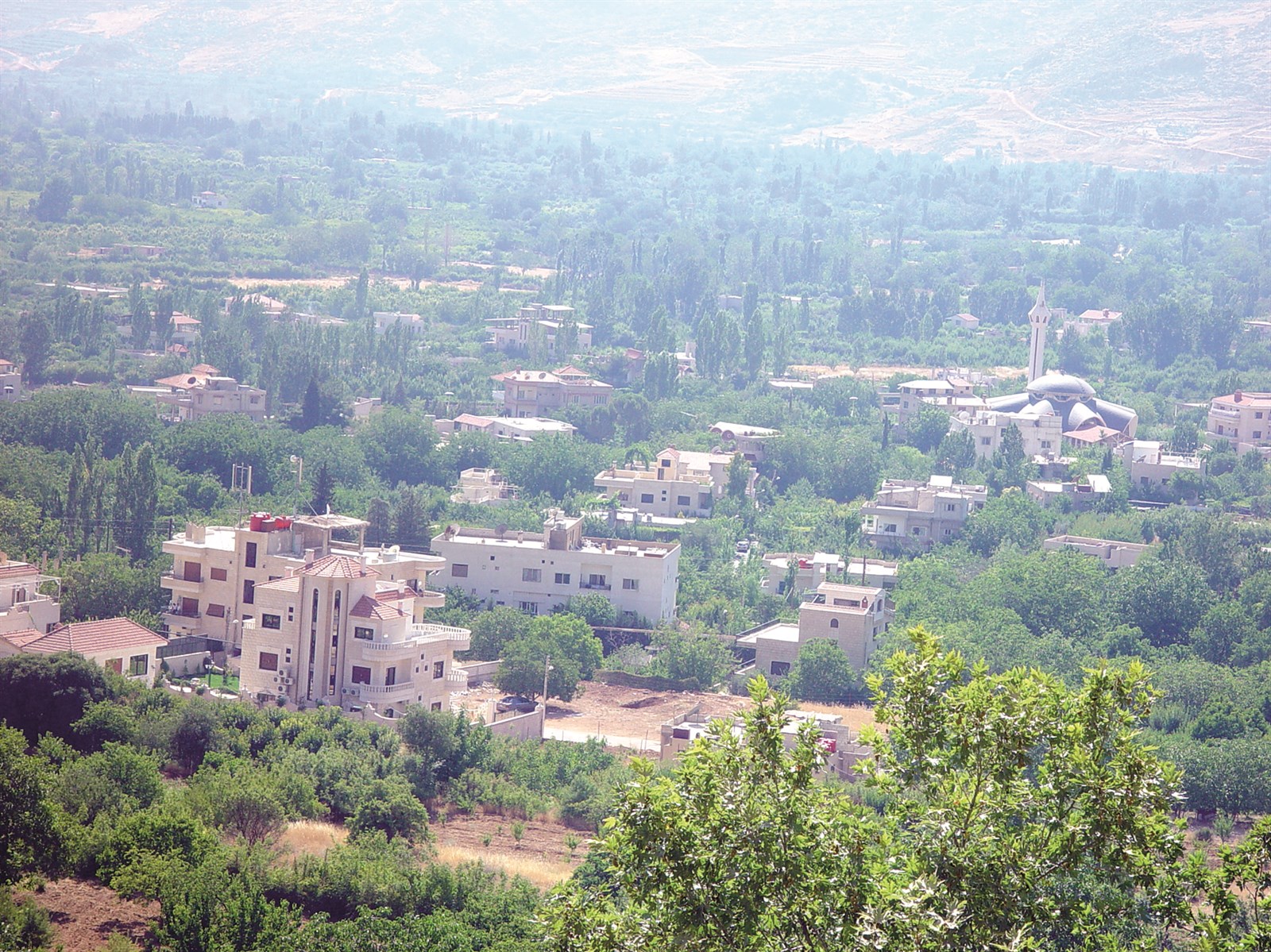 الزبداني خاوية على عروشها
