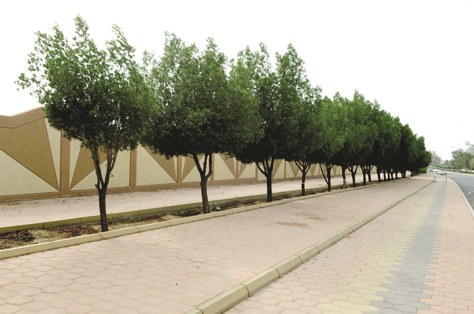 u0627u0644u0623u0634u062cu0627u0631 u062eu0627u0631u062c u0627u0644u0645u062fu0627u0631u0633 u062au0633u0628u0628 u0645u0634u0643u0644u0629 u0639u0644u0649 u0634u0628u0643u0629 u0635u0631u0641 u0627u0644u0645u064au0627u0647 (u062au0635u0648u064au0631 u0643u0631u0645 u0630u064au0627u0628)