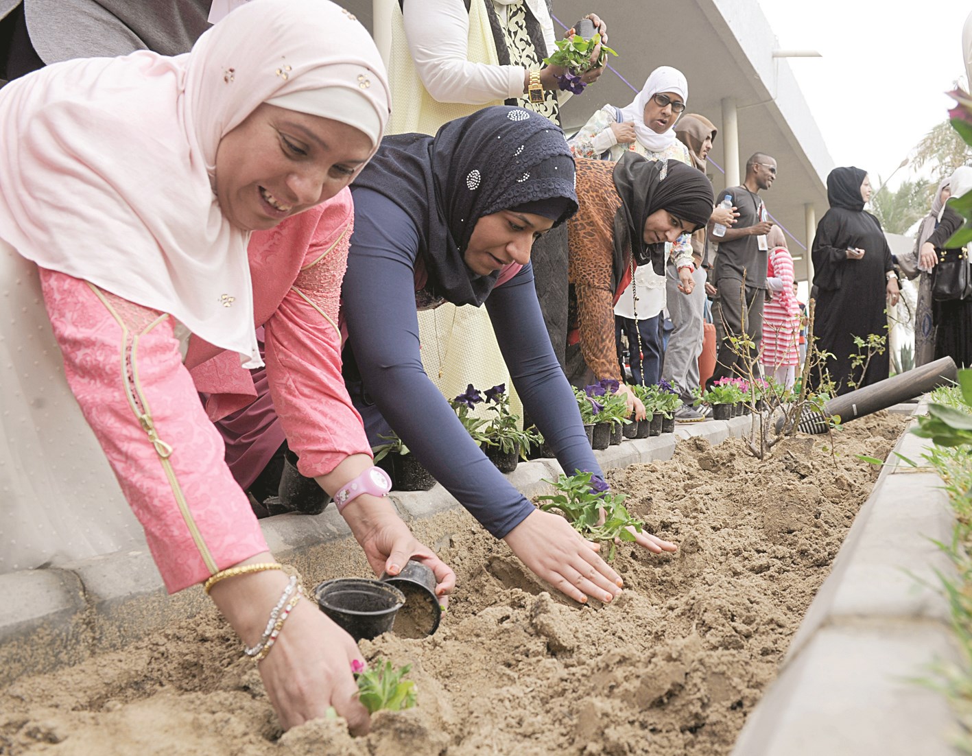 نزلاء دور الرعاية يشاركون في التخضير (تصوير نايف العقلة)