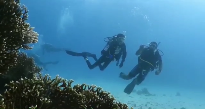 u0627u0644u063au0648u0627u0635 u0641u064au0635u0644 u0627u0644u0645u0648u0633u0648u064a u062eu0644u0627u0644 u0645u0634u0627u0631u0643u0629 u0641u064a u0627u0644u0631u062du0644u0629