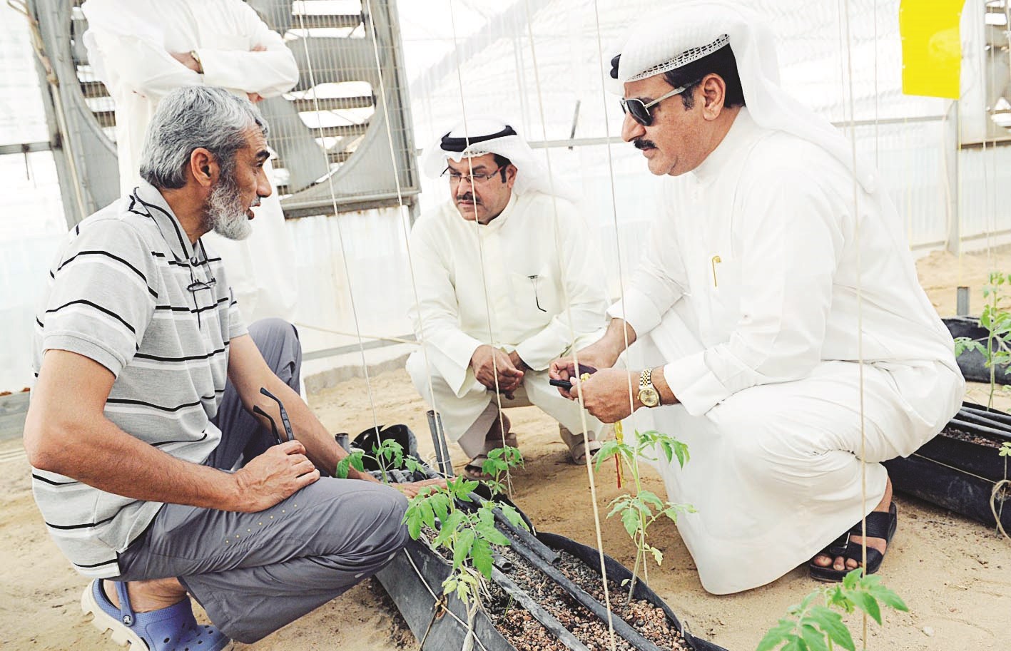 حوار زراعي