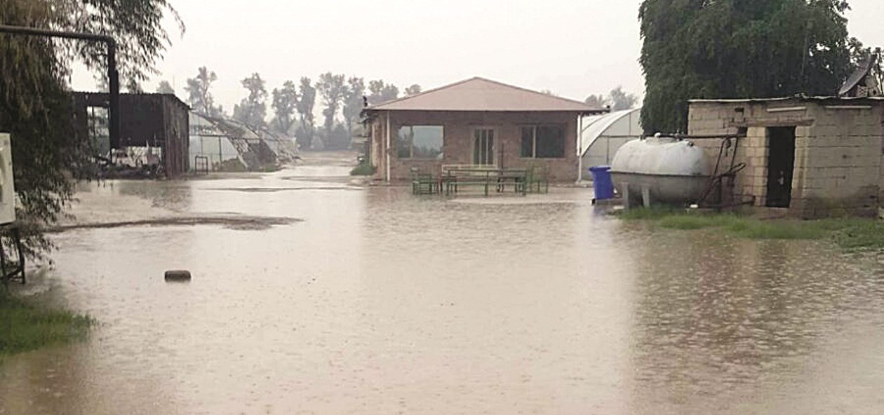 u0627u0644u0623u0645u0637u0627u0631 u0623u063au0631u0642u062a u0627u0644u0645u0632u0627u0631u0639