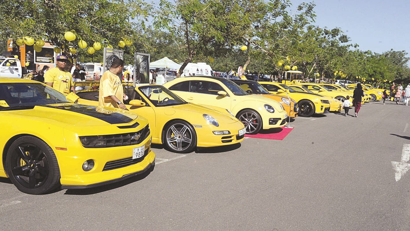 عرض للسيارات المشاركة