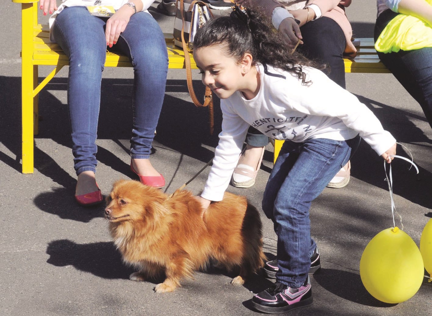 مشاركة من نوع آخر