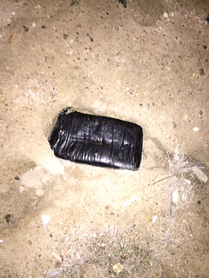 u0627u0644u062du0634u064au0634 u0627u0644u0645u0644u0642u0649 u0642u0631u0628 u0627u0644u0645u0646u0641u0630