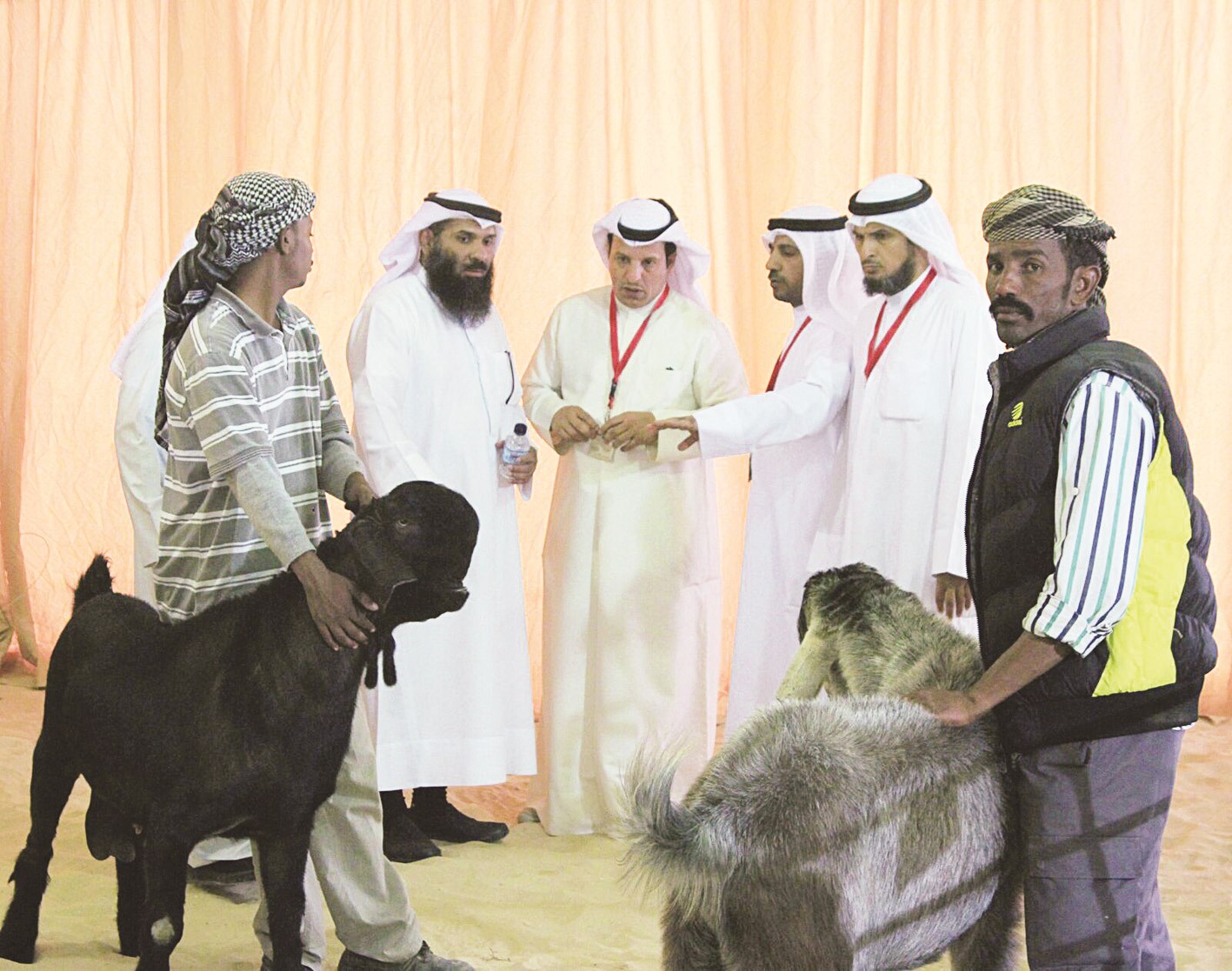 u062cu0627u0646u0628 u0645u0646 u0645u0633u0627u0628u0642u0627u062a u0627u0644u0623u063au0646u0627u0645