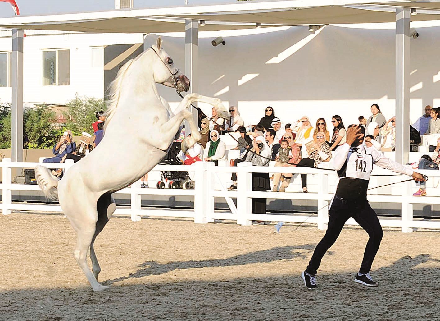 u0627u0633u062au0639u0631u0627u0636 u062cu0645u0627u0644 u0627u0644u062eu064au0644