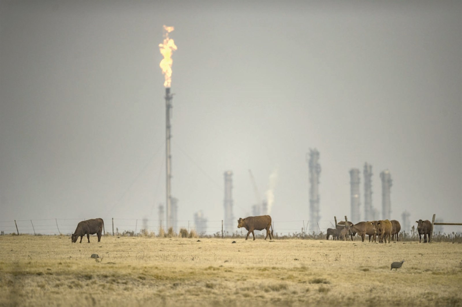 u0647u0644 u062au0646u0637u0641u0626 u0646u0627u0631 u0627u0644u062du0631u0628 u0627u0644u0646u0641u0637u064au0629 u061f (u0623 u0641 u0628)