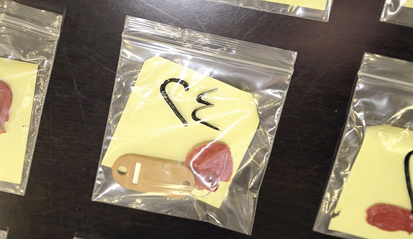 بصمة...بالسيليكون