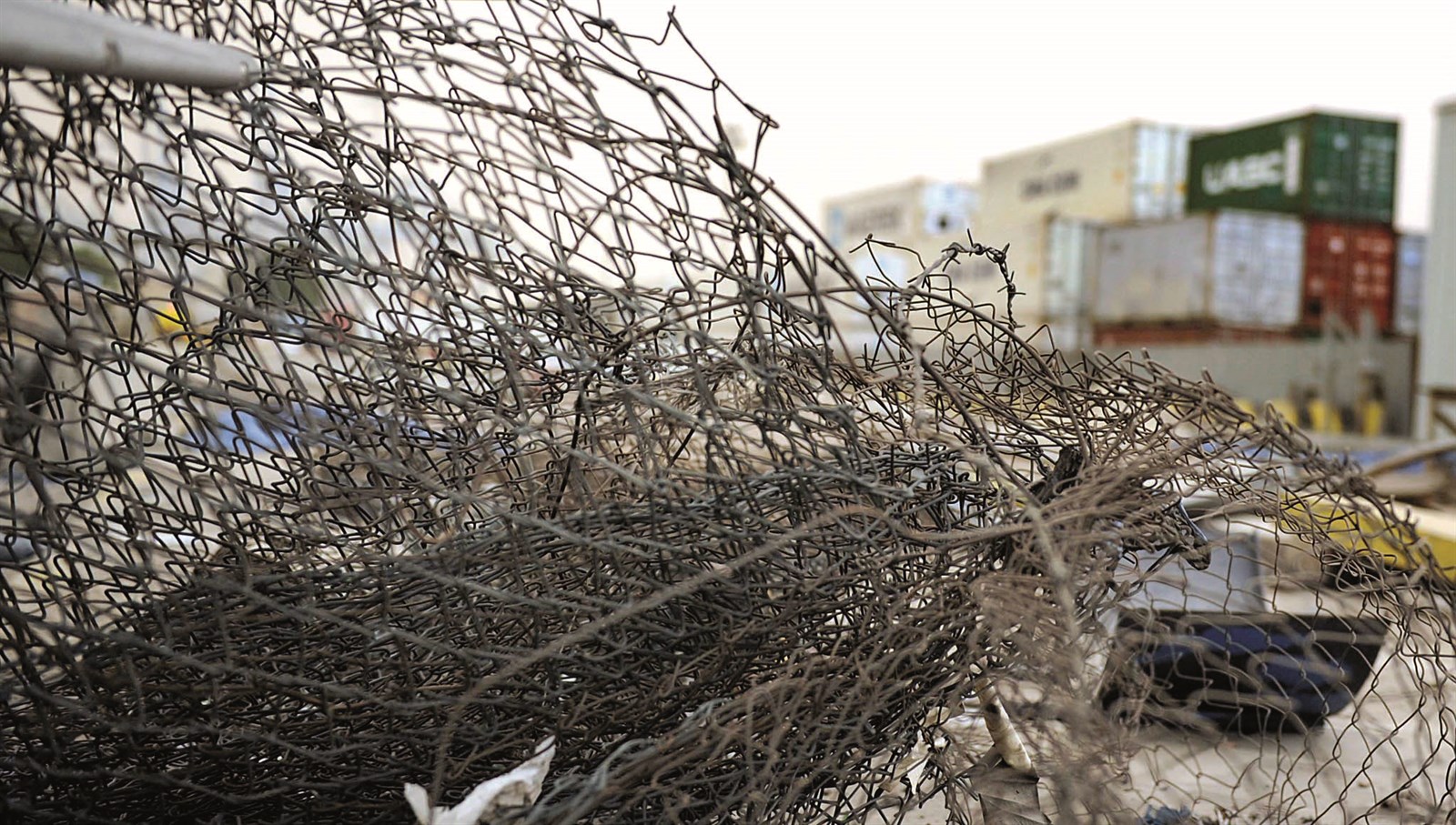 u0639u0642u0628u0627u062a u0641u064a u0625u062fu0627u0631u0629 u0627u0644u0645u0646u0637u0642u0629 u0627u0644u062du0631u0629 b(u062au0635u0648u064au0631 u0646u0627u064au0641 u0627u0644u0639u0642u0644u0629)