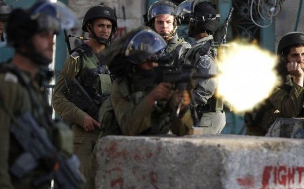 u0635u0648u0631u0629 u0623u0631u0634u064au0641u064au0629