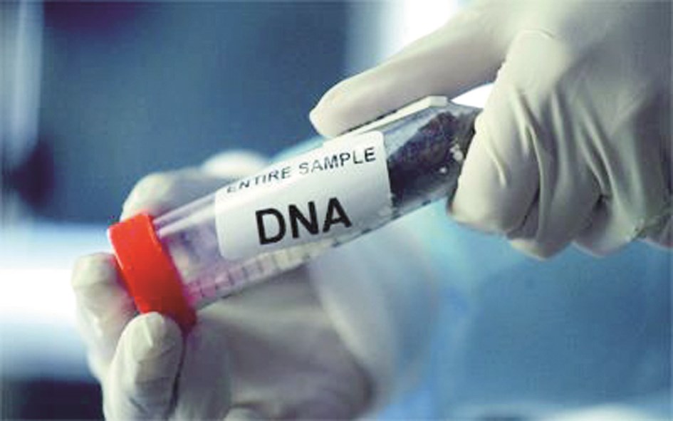 لا مسوغ شرعياً لفحص البصمة الوراثية في إثبات النسب