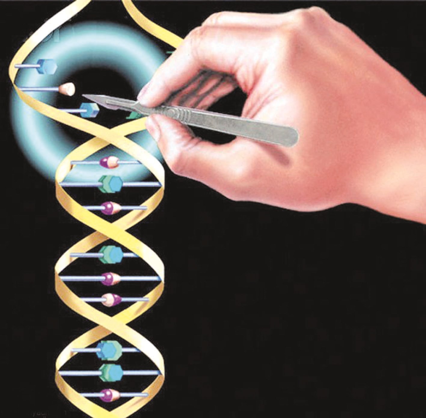 ضوابط لإجراء فحوص البصمة في غير إثبات النسب