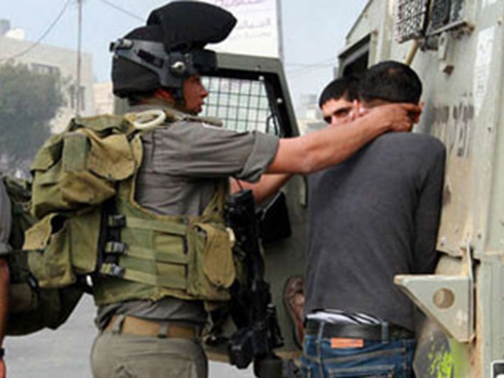 u0635u0648u0631u0629 u0623u0631u0634u064au0641u064au0629