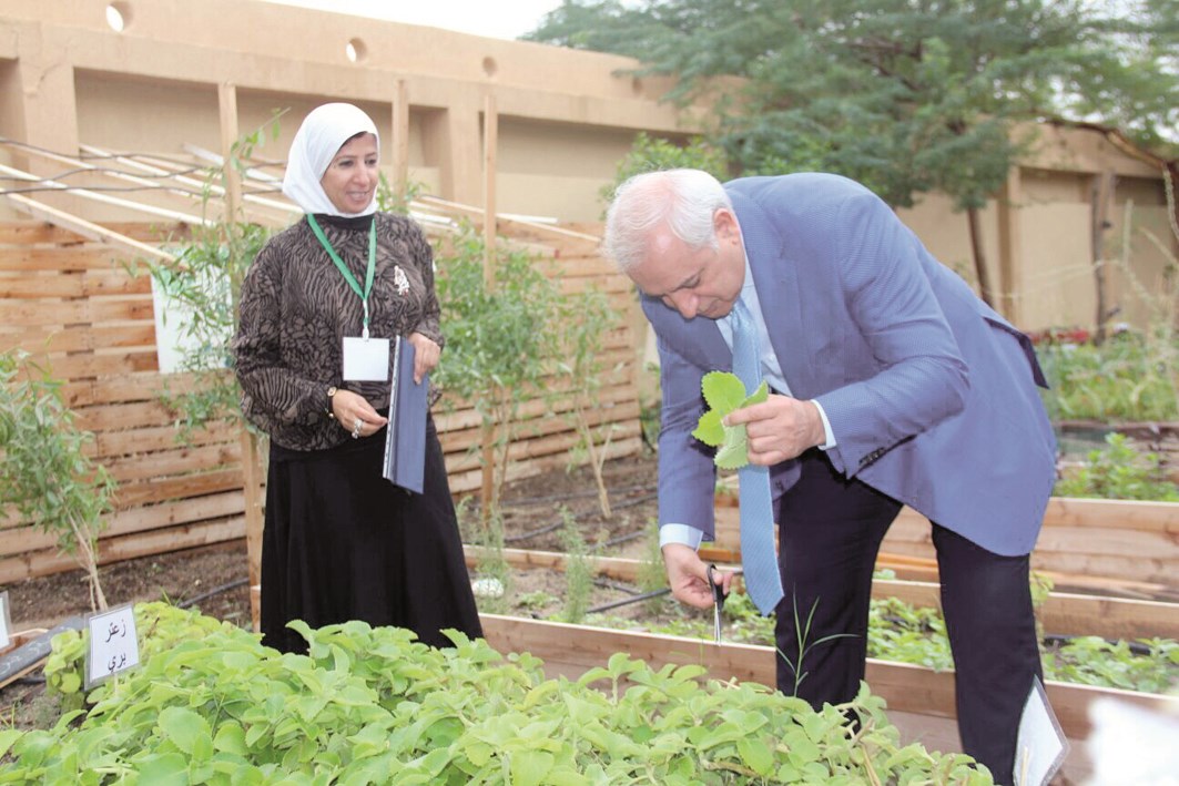 u0627u0644u0639u064au0633u0649 u064au0647u0630u0651u0628 u0625u062du062fu0649 u0627u0644u0646u0628u0627u062au0627u062a u0641u064a u062bu0627u0646u0648u064au0629 u0627u0644u062cu0632u0627u0626u0631