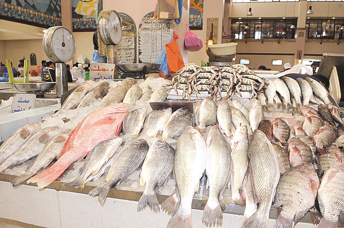 u0623u0633u0645u0627u0643 u0645u062au0646u0648u0639u0629