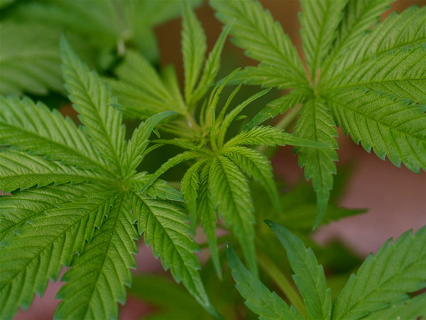 u0627u0644u0642u0646u0628