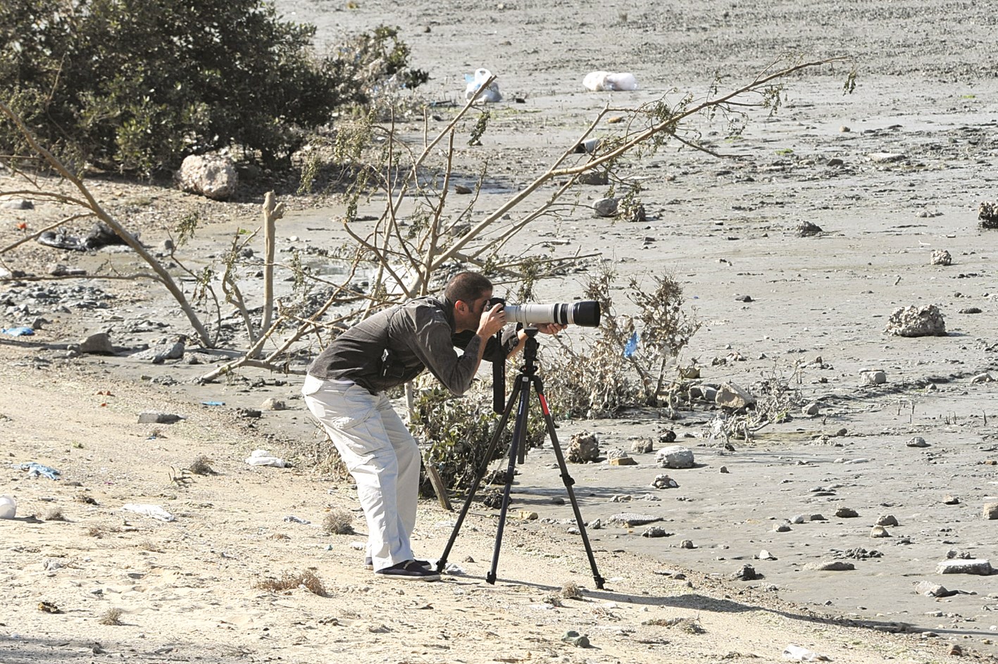 أحد المشاركين في عملية « العد» (تصوير نور هنداوي)