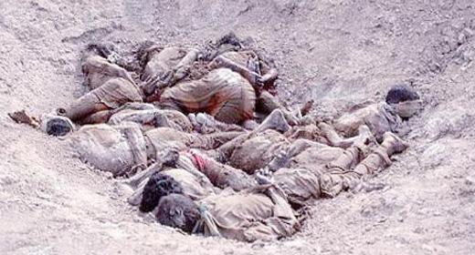 u0645u0642u0628u0631u0629 u062cu0645u0627u0639u064au0629 u0628u0627u0644u062cu0632u0627u0626u0631 (u0635u0648u0631u0629 u0627u0631u0634u064au0641u064au0629)