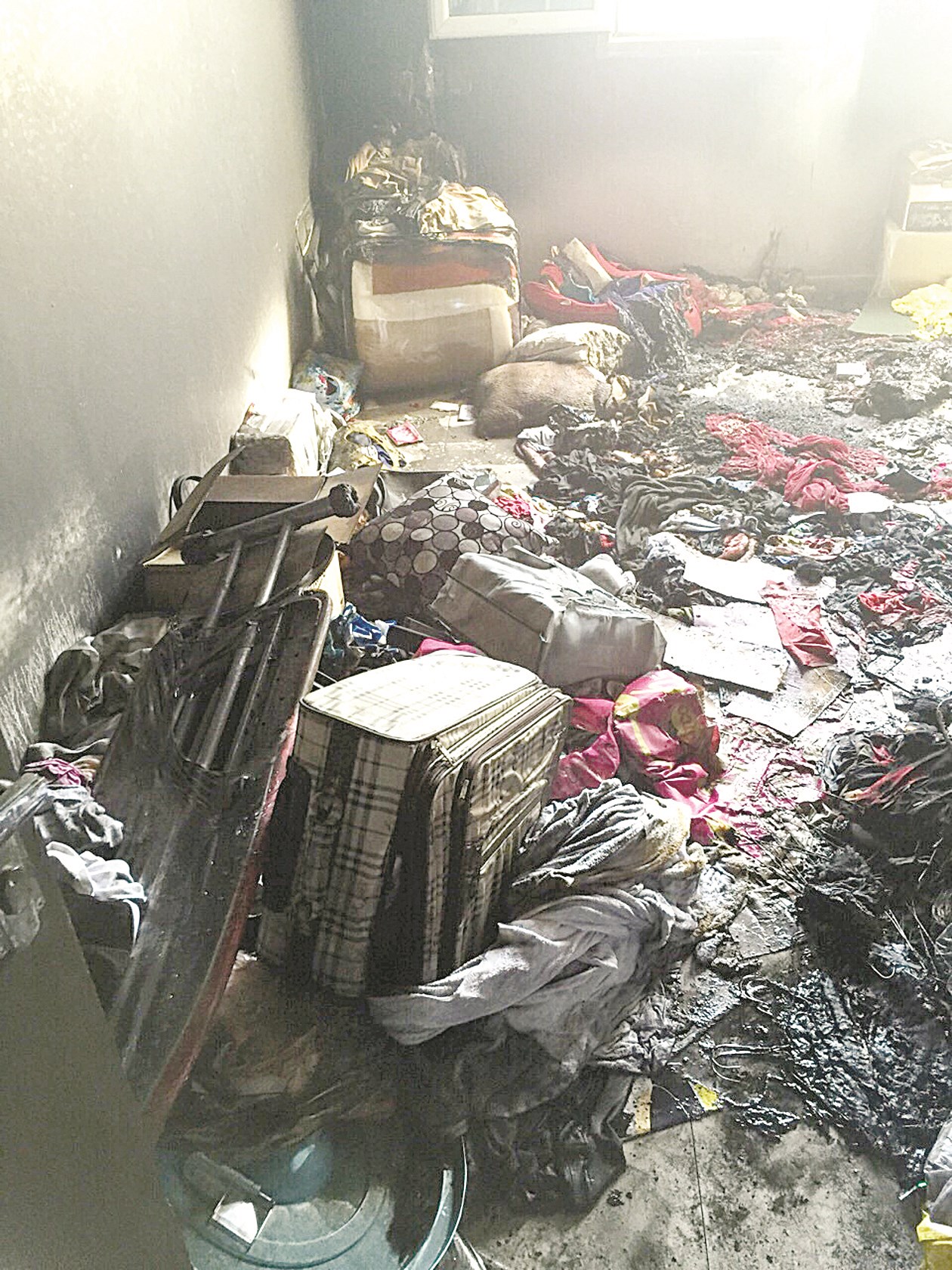 u062fu0645u0627u0631 u0634u0627u0645u0644