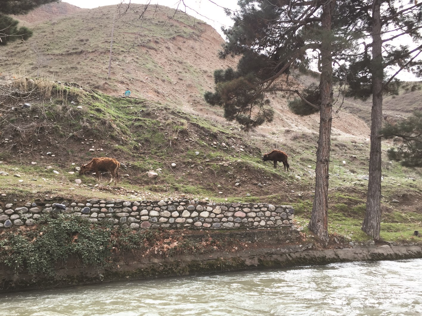 مياه ومراعٍ