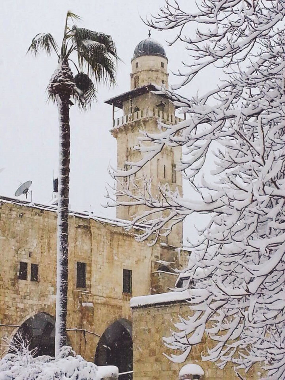 مسجد في العاصمة والثلوج بادية على الأشجار المجاورة