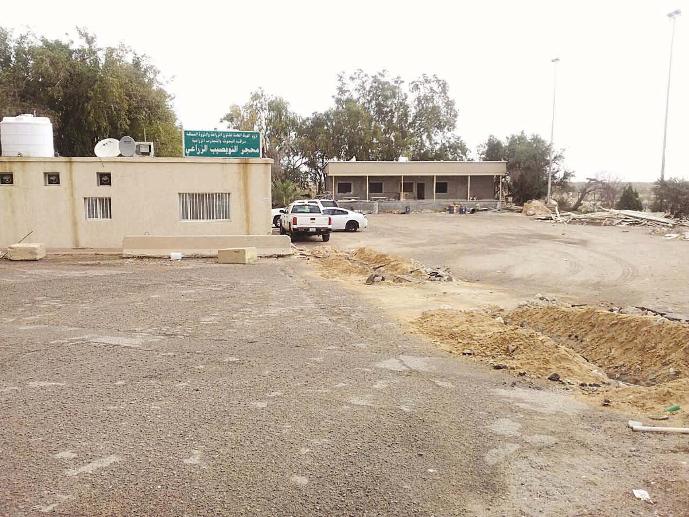 «مبنى» الزراعة... ثغرة أمنية