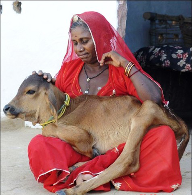 u0647u0646u062fu0648u0633u064au0629 u062au062du0645u0644 u0628u0642u0631u0629