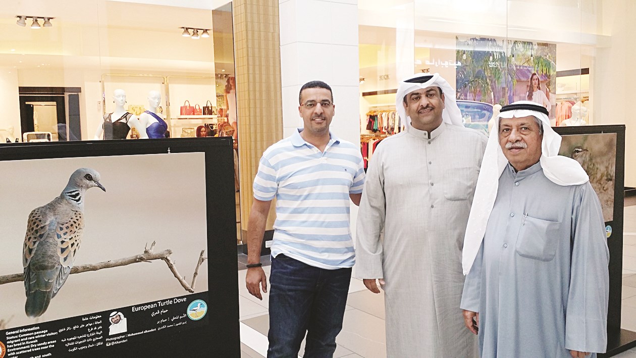 u0625u062du062fu0649 u0627u0644u0644u0648u062du0627u062a u0627u0644u0645u0634u0627u0631u0643u0629 u0641u064a u0627u0644u0645u0639u0631u0636