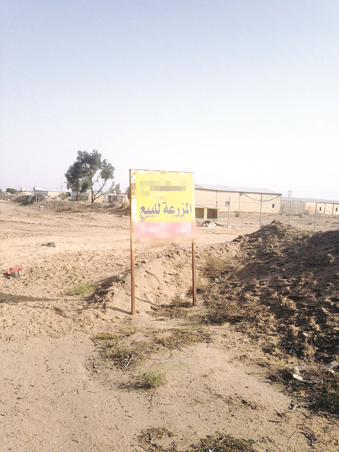 مزرعة للبيع