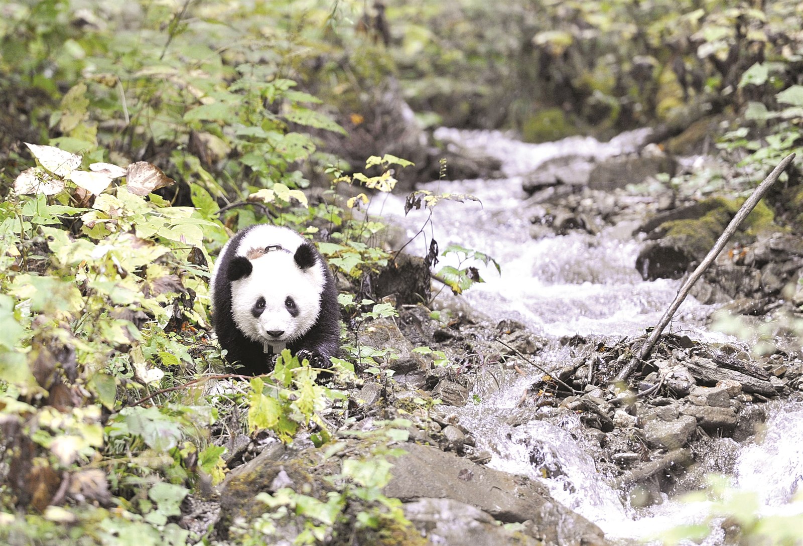 مشهد من الفيلم