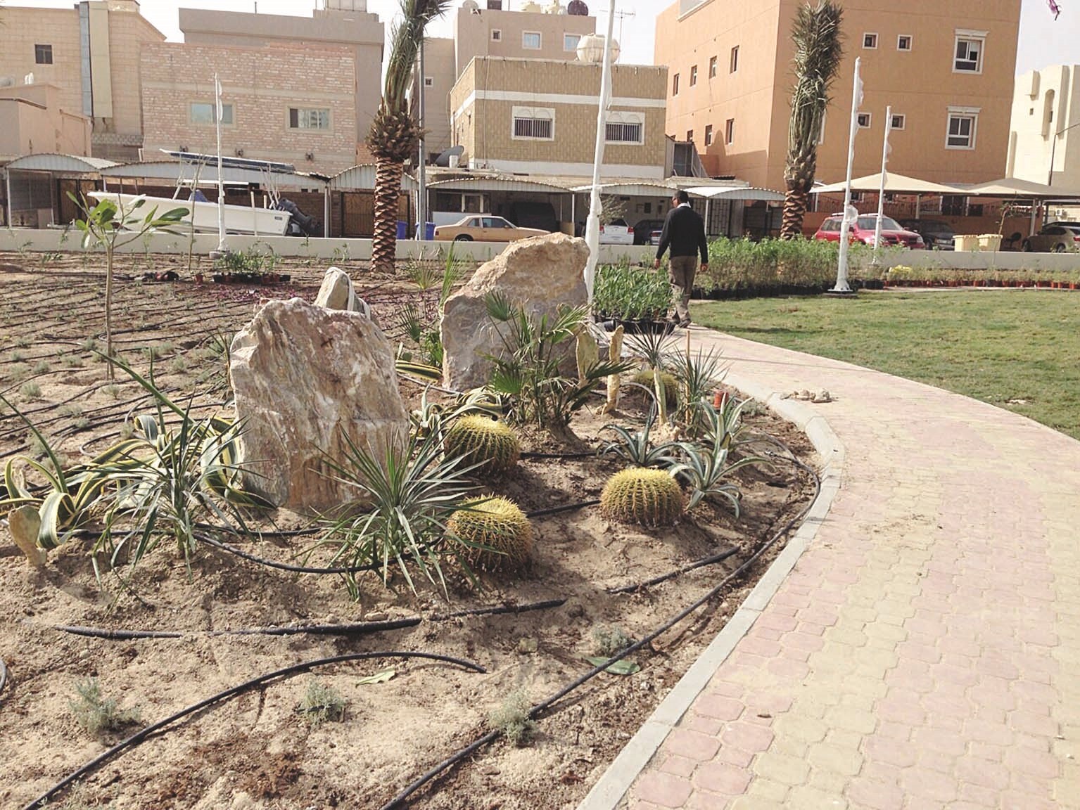 الزراعات في المناطق السكنية