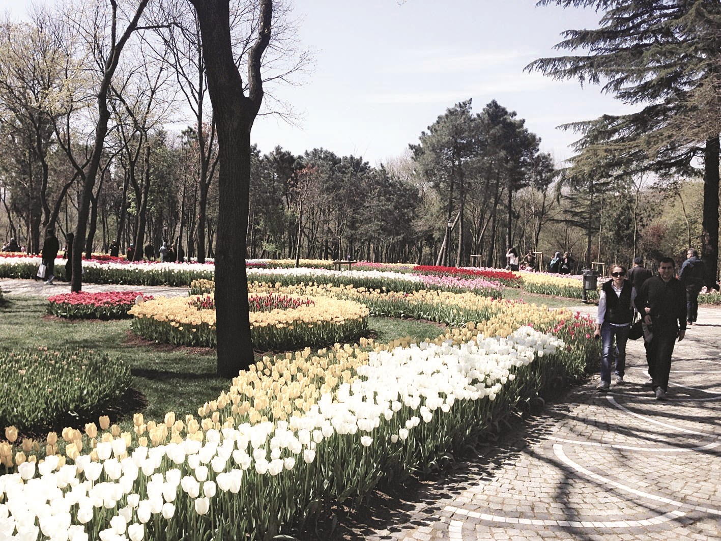 نزهة بين الورود