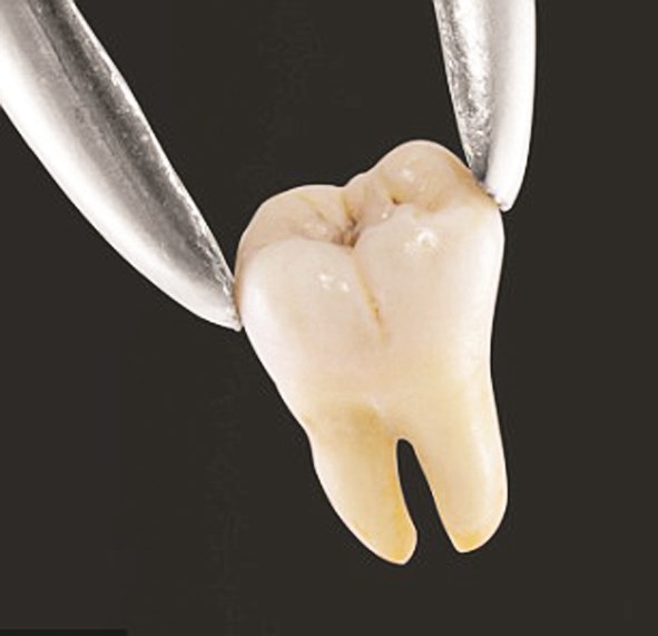 u0645u0632u064au062f u0645u0646 u0627u0644u0627u062eu062au0628u0627u0631u0627u062a u0639u0644u0649 u0627u0644u062du0634u0648u0629 u0627u0644u0647u0644u0627u0645u064au0629