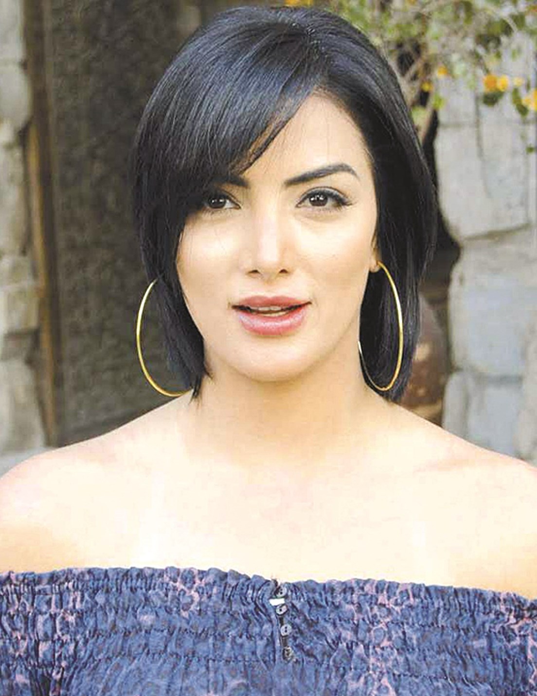 u062du0648u0631u064au0629 u0641u0631u063au0644u064a