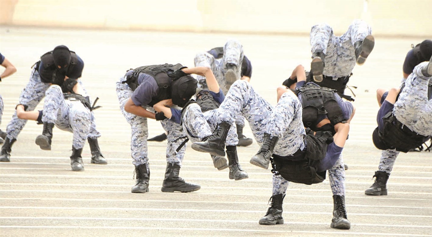 عرض فنون قتالية