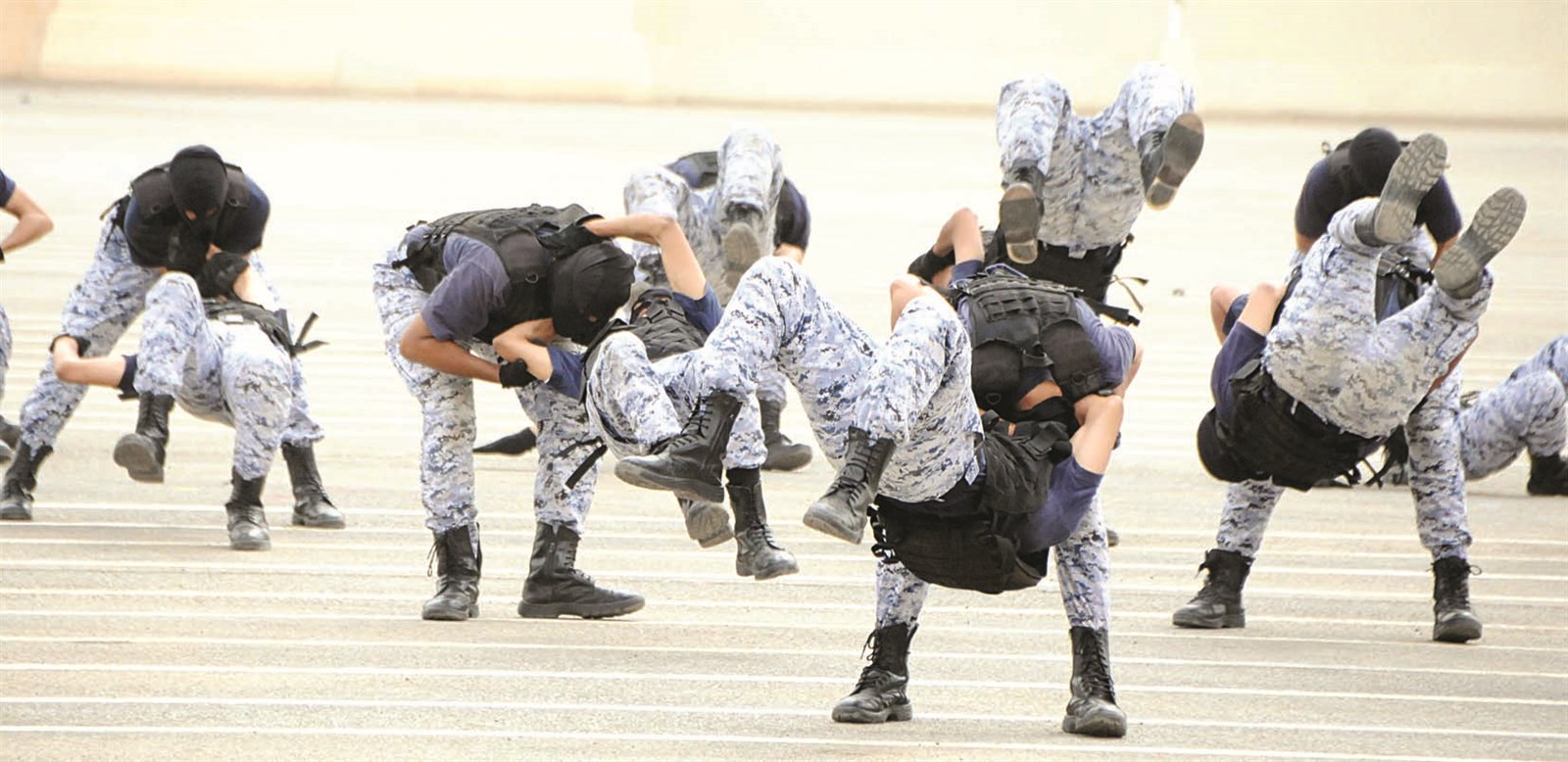 عرض فنون قتالية