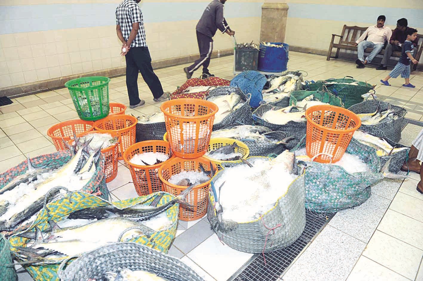 سلال السمك... غاب عنها الميد