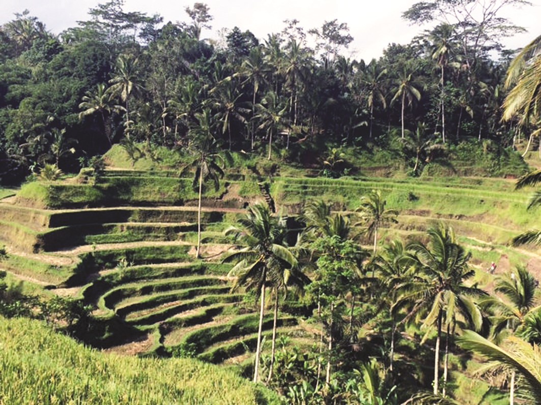 حديقة تيقالالا