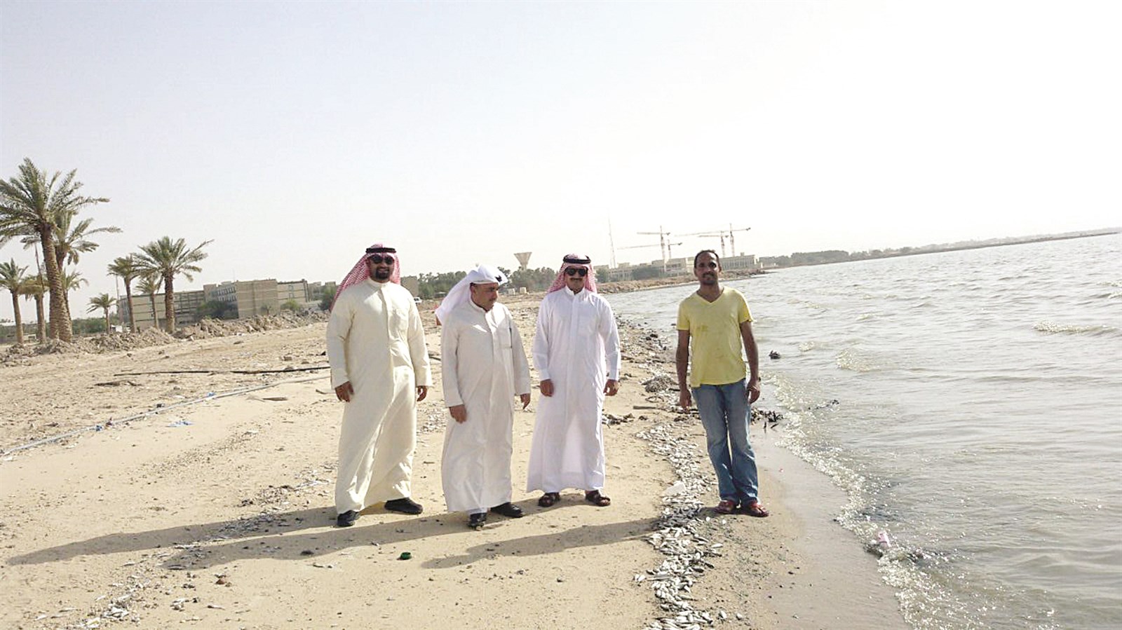 مدير هيئة الزراعة بالوكالة متفقدا موقع النفوق