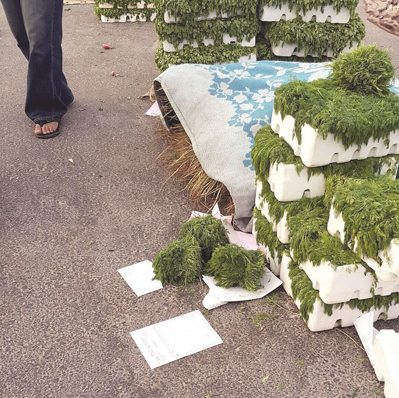 u0645u0646u062au062cu0627u062a u0627u0644u0645u0632u0627u0631u0639u064au0646 u0641u064a u0645u0648u0642u0639 u0645u062eu0627u0644u0641 u0643u0645u0627 u062au0624u0643u062fu0647 u0627u0644u0628u0644u062fu064au0629