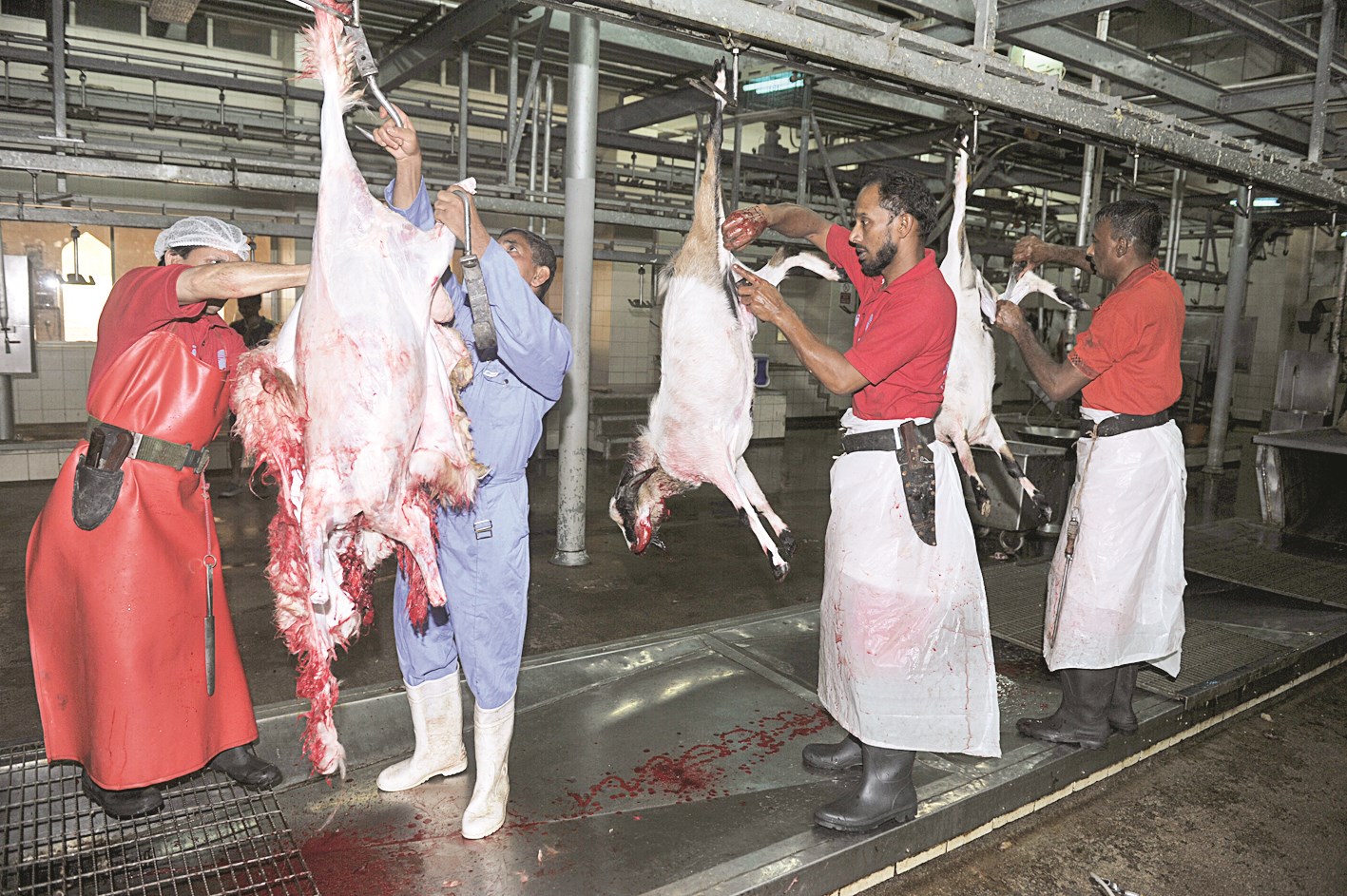 u0645u0633u0644u062e u0627u0644u0633u0627u0644u0645u064au0629... u0623u062fu0627u0621 u0639u0627u062fu064a (u062au0635u0648u064au0631 u0646u0648u0631 u0647u0646u062fu0627u0648u064a)