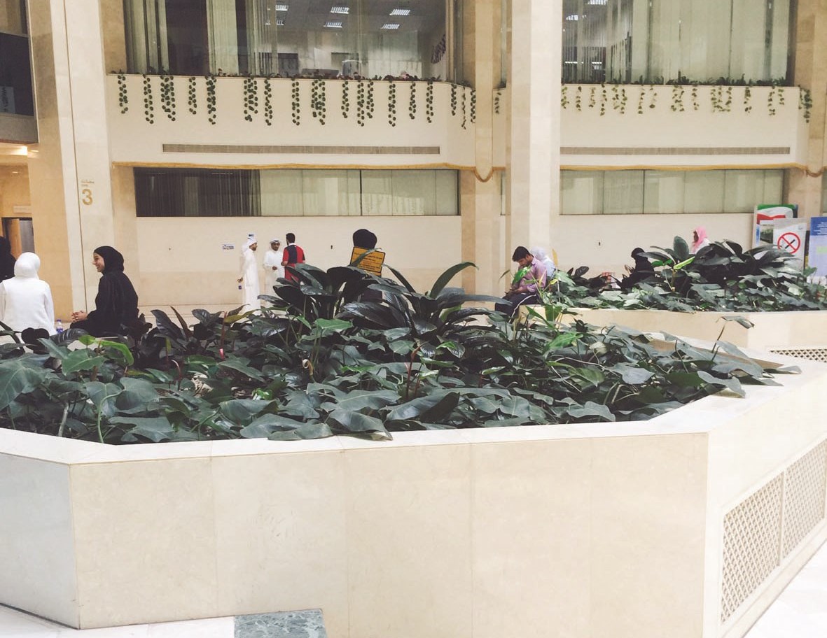 u0645u062fu062eu0644 u0627u0644u0648u0632u0627u0631u0629 u0648u064au0628u062fu0648 u0639u062fu062f u0645u0646 u0627u0644u0645u0648u0638u0641u064au0646 u0648u0627u0644u0645u0631u0627u062cu0639u064au0646