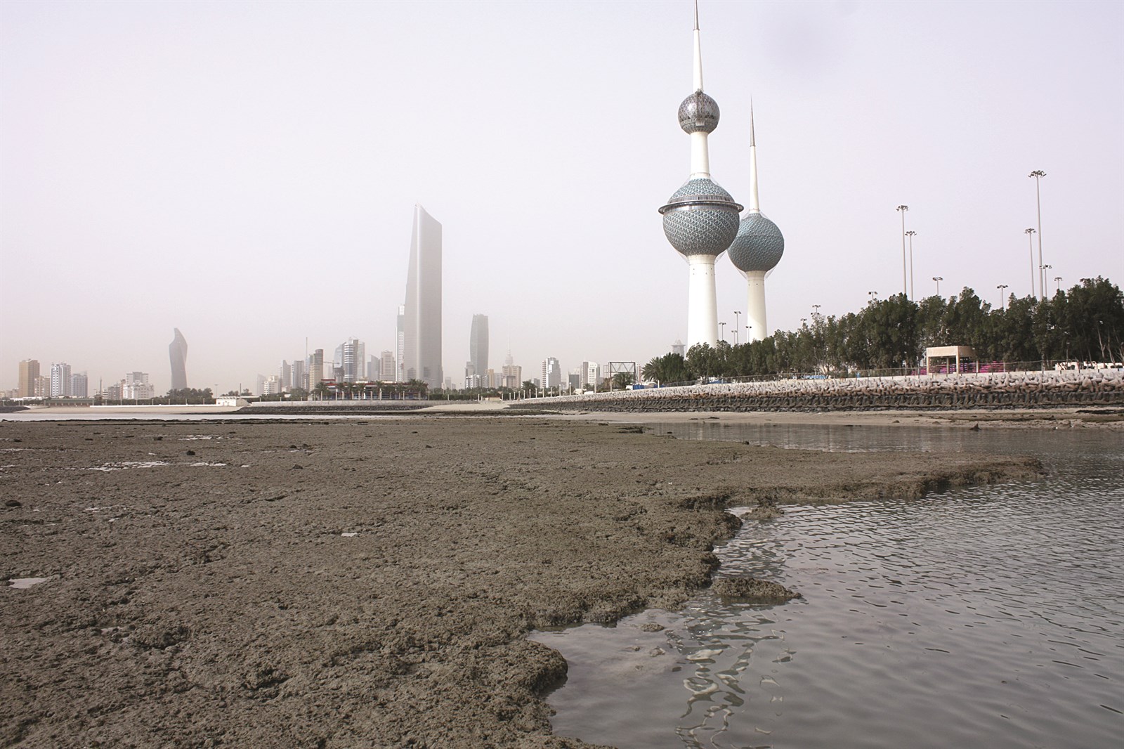 u0627u0644u0634u0648u0627u0637u0626 u0627u0644u0635u062eu0631u064au0629 u062au0639u0627u0646u064a u0628u0633u0628u0628 u0627u0644u0627u0646u062au0647u0627u0643u0627u062a u0627u0644u0628u064au0626u064au0629