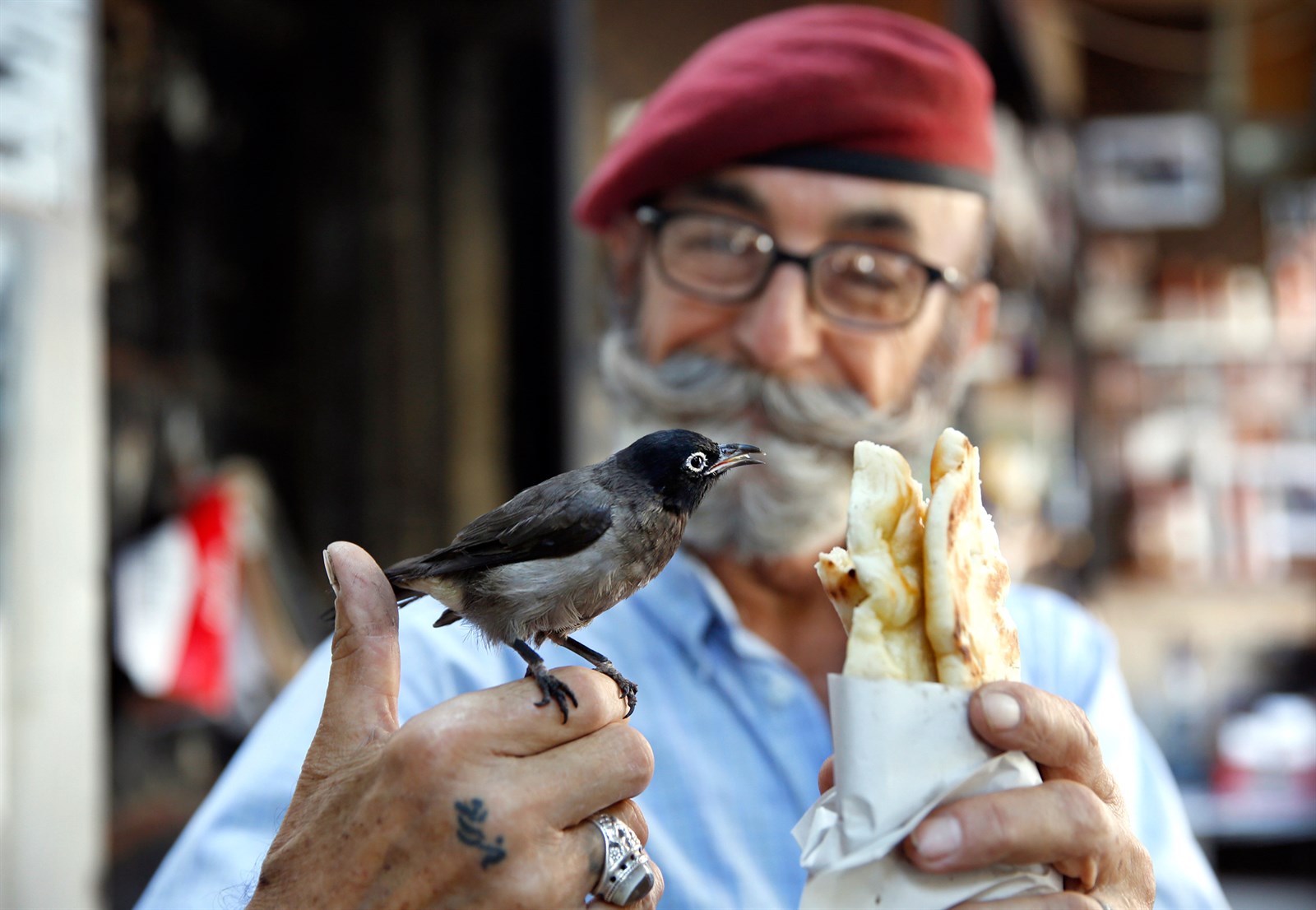 u0627u0644u0644u0628u0646u0627u0646u064a u00abu0623u0628u0648 u0641u0627u0631u0648u0642u00bb (70 u0639u0627u0645u0627u064b) u064au0637u0639u0645 u0639u0635u0641u0648u0631u0647 u00abu0632u064au0643u0648u00bb u0623u0645u0627u0645 u0642u0647u0648u062au0647 u0641u064a u0634u0627u0631u0639 u0627u0644u062du0645u0631u0627u0621 u0641u064a u0628u064au0631u0648u062a u0623u0645u0633b(u0627 u0628)