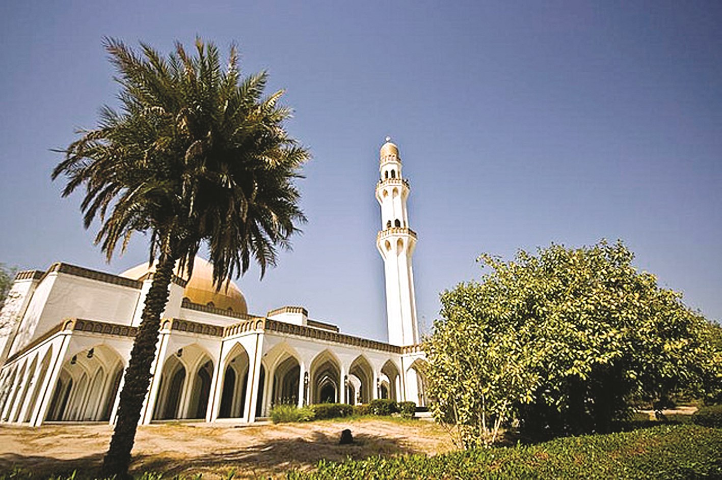 u0645u0631u0643u0632 u0627u0644u0637u0628 u0627u0644u0625u0633u0644u0627u0645u064a